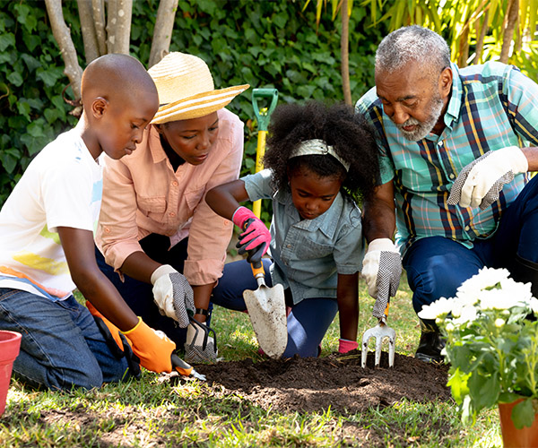 Family Digging